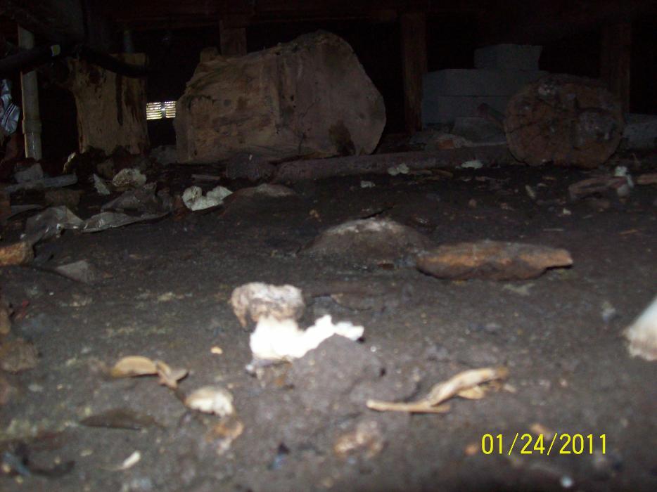 Dial One Johnson Plumbing Cooling and Heating Image