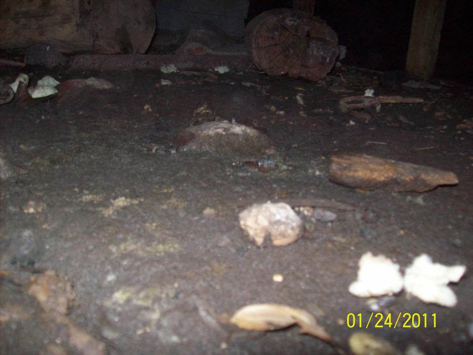 Dial One Johnson Plumbing Cooling and Heating Image