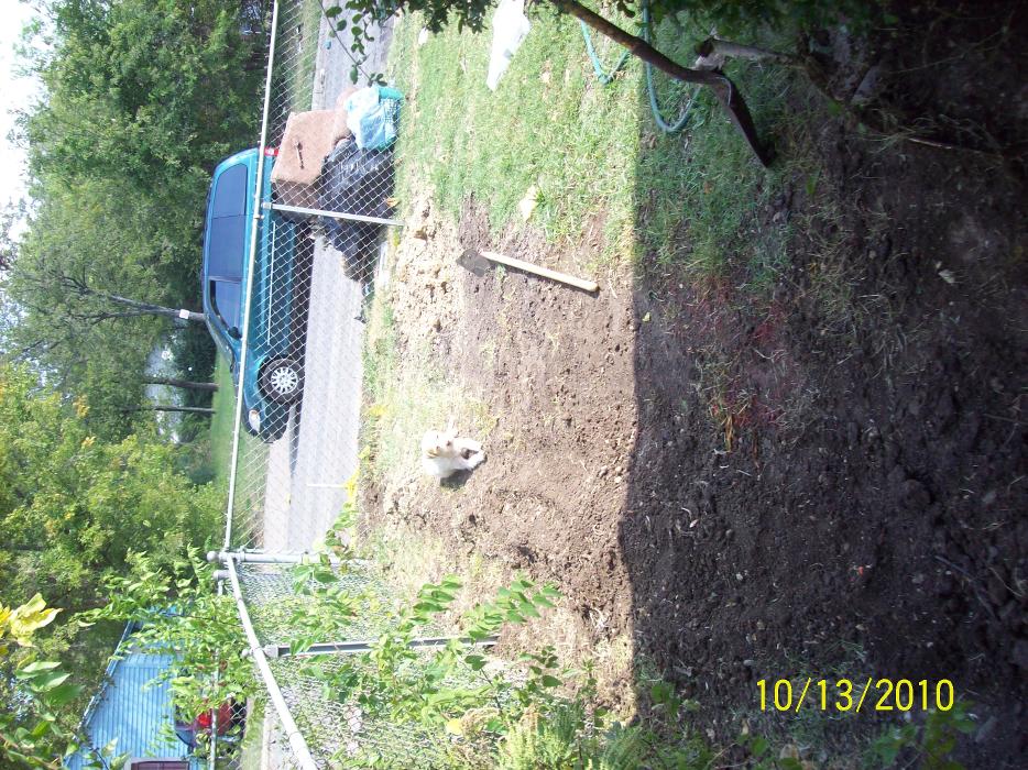 Dial One Johnson Plumbing Cooling and Heating Image