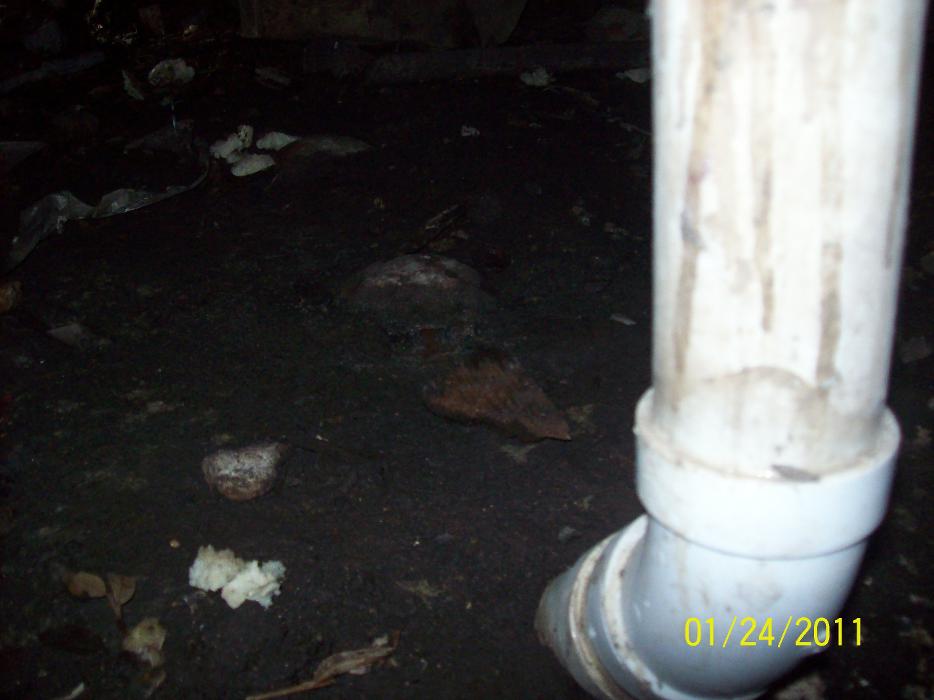 Dial One Johnson Plumbing Cooling and Heating Image