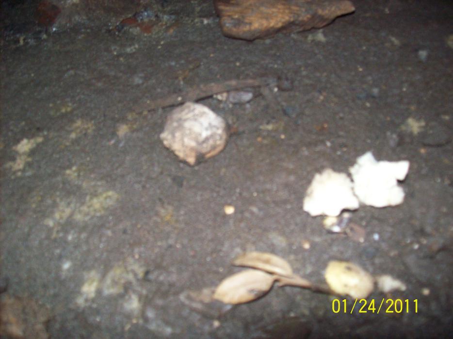 Dial One Johnson Plumbing Cooling and Heating Image