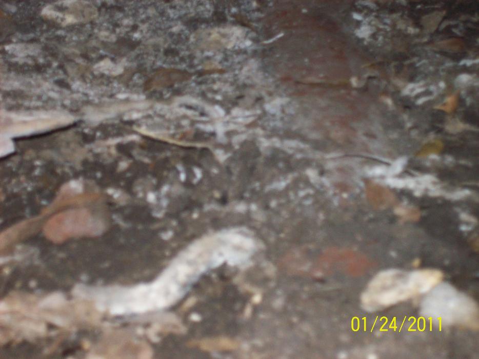 Dial One Johnson Plumbing Cooling and Heating Image