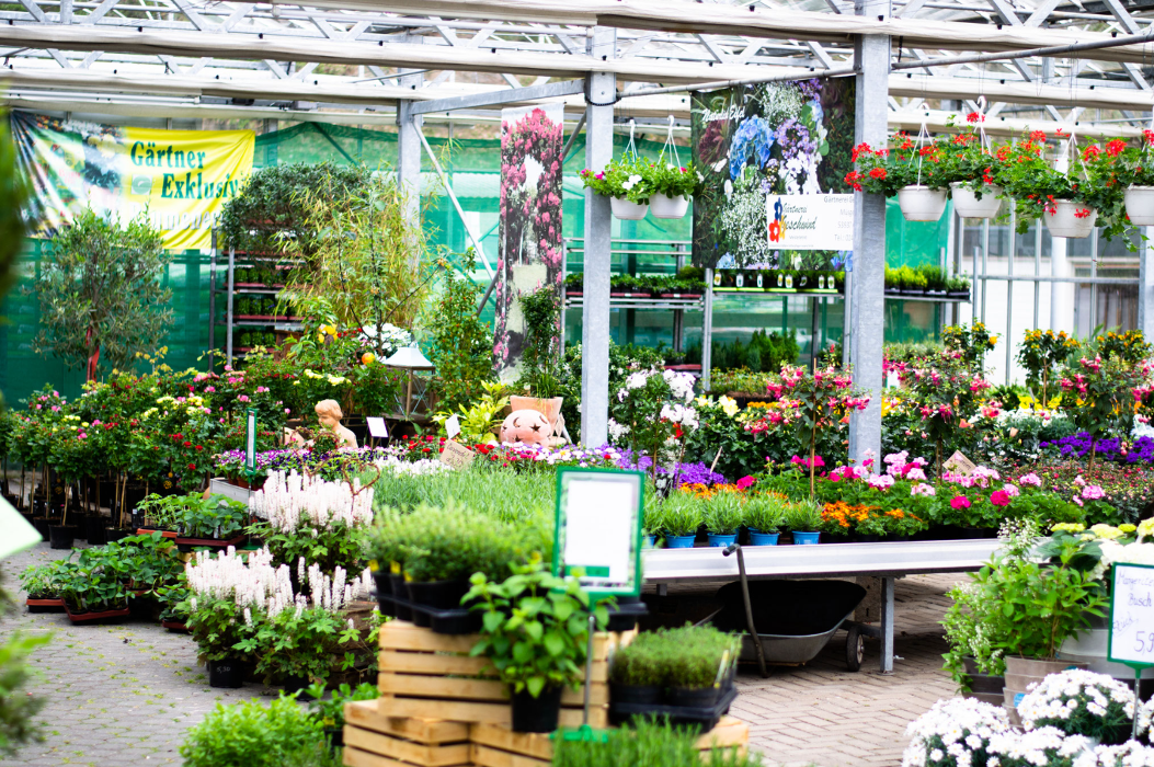 Geschwind Dietmar Gärtnerei Friedhofsgärtnerei Blumen, Müsgesauel in Schleiden