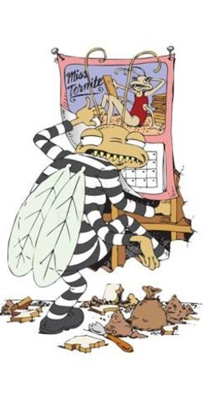 Lloyd Pest & Termite Control Image