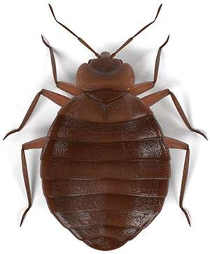 Lloyd Pest & Termite Control Image