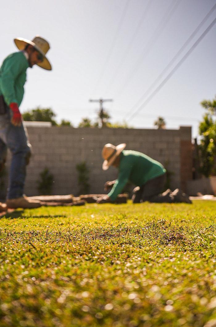 Scaliency - Phoenix Growth Content Marketing Image