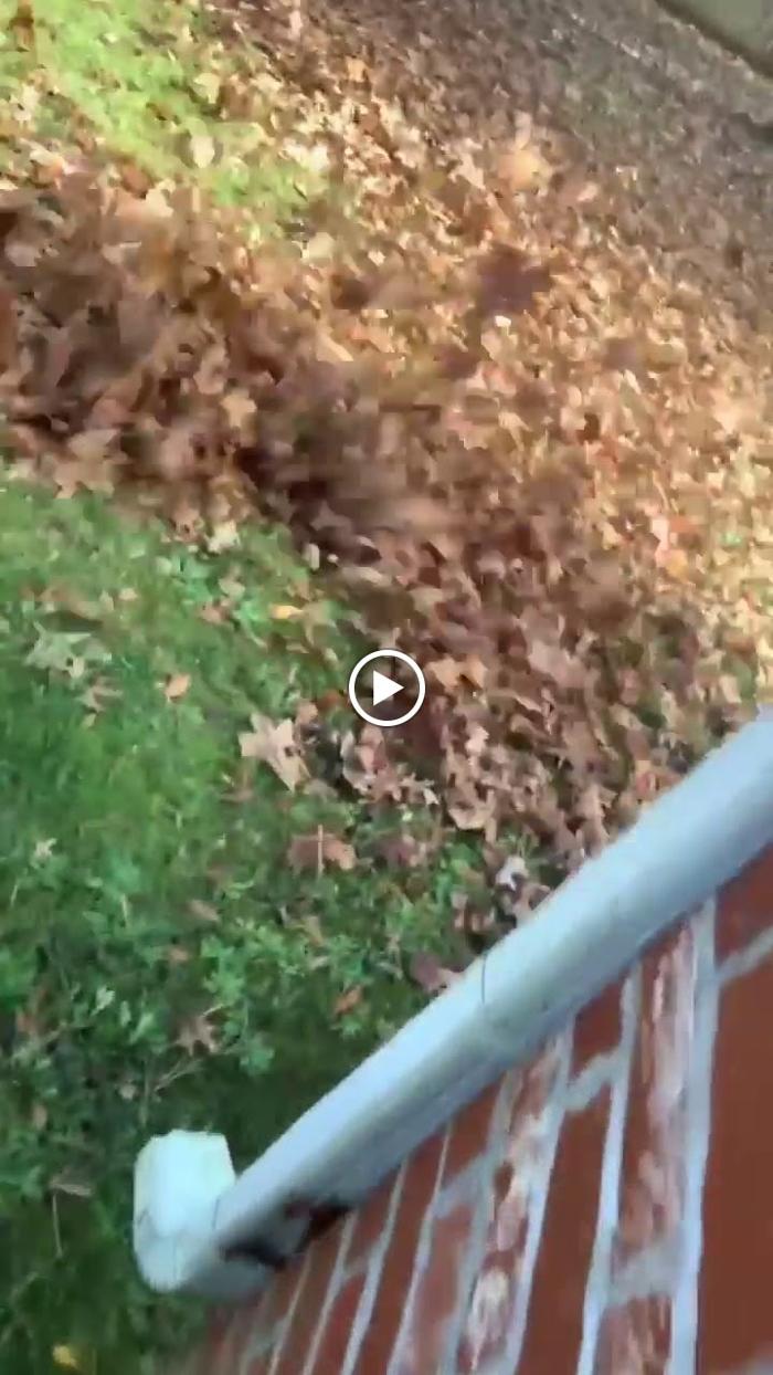 Maliks Top Of The Line Cleaning LLC - North Little Rock, AR