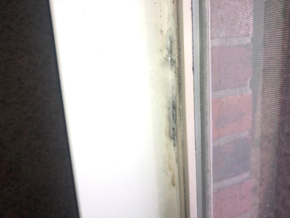 Maliks Top Of The Line Cleaning LLC - North Little Rock, AR