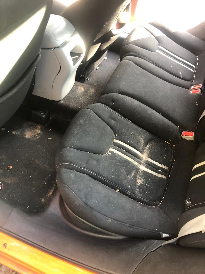 Maliks Top Of The Line Cleaning LLC - North Little Rock, AR