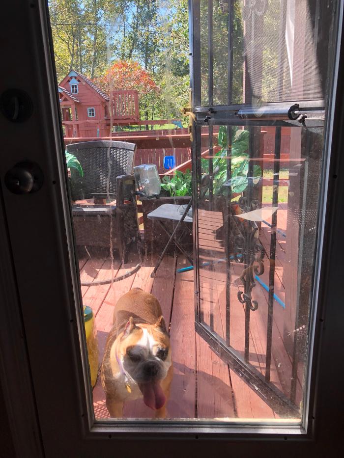 Maliks Top Of The Line Cleaning LLC - North Little Rock, AR