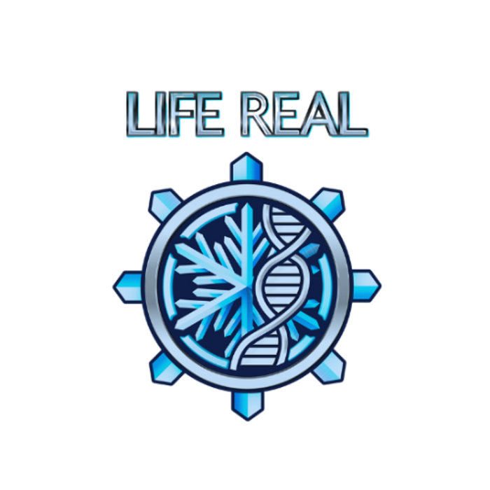 Life Real Inc Spa