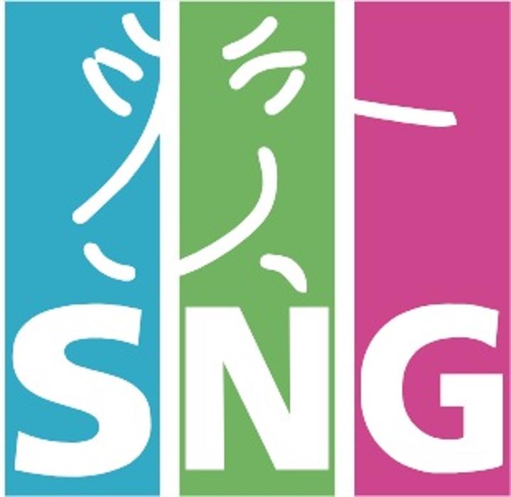 SNG Immobilien- und Versicherungsmakler GmbH