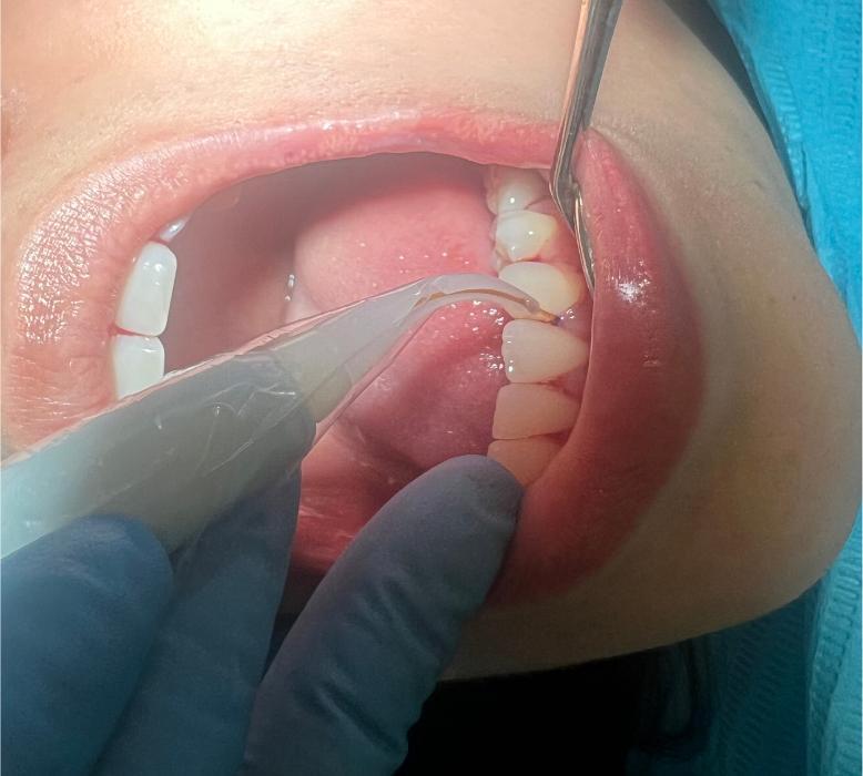 San Juan Family Dentistry - San Juan Capistrano, CA