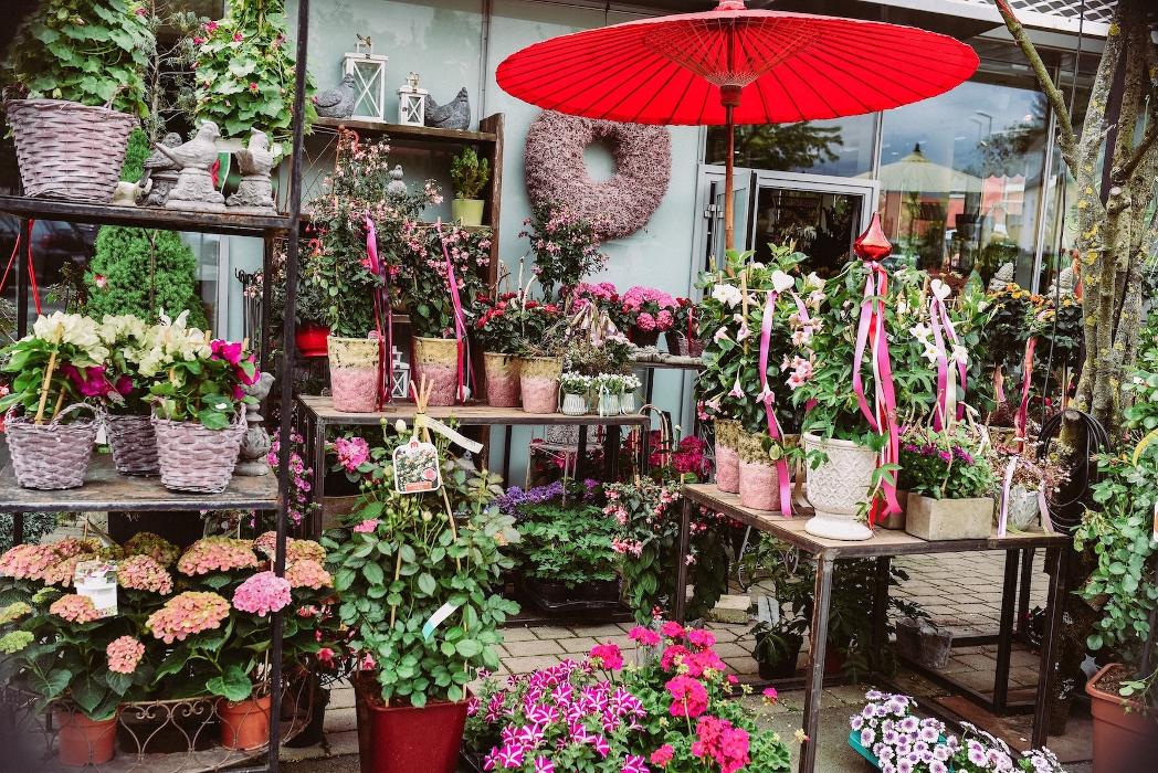 Blumen GRAN - Birgit Malner in Graz