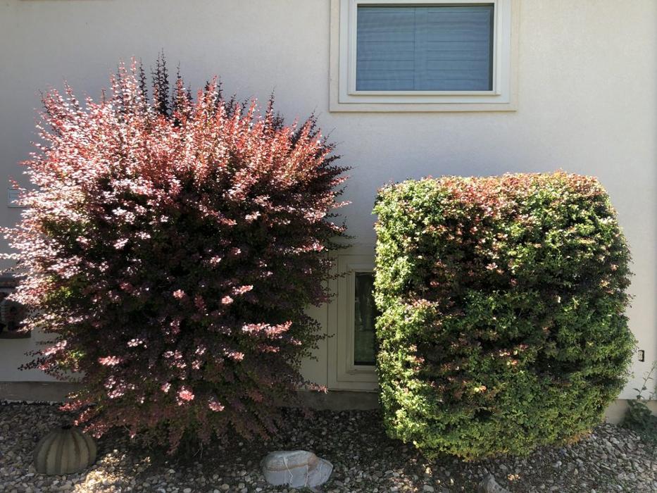 Turffesional Lawn Care & Landscaping - Logan, UT