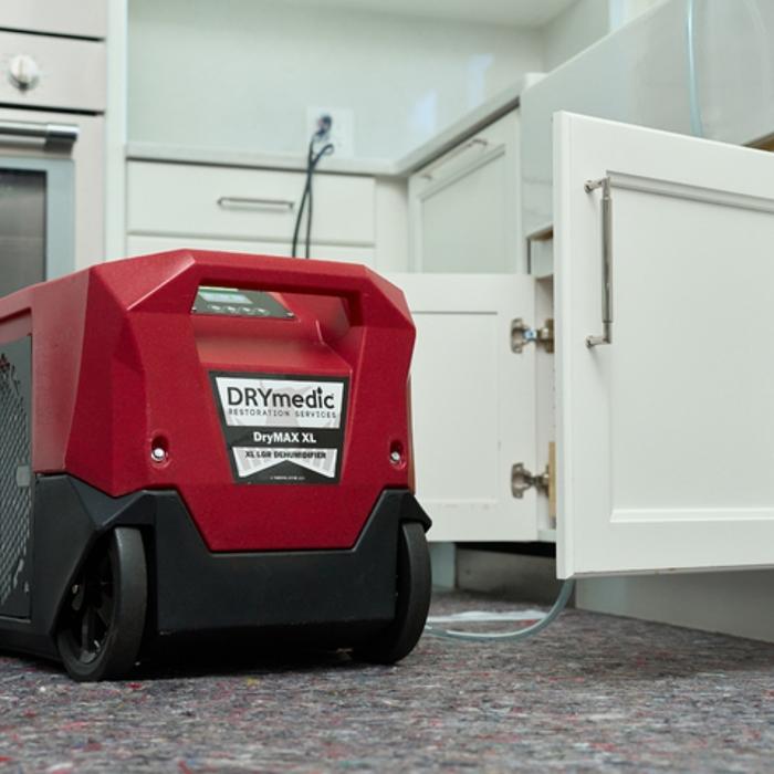 DRYmedic Restoration Services of West Denver Image