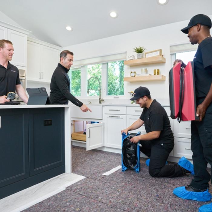 DRYmedic Restoration Services of West Denver Image