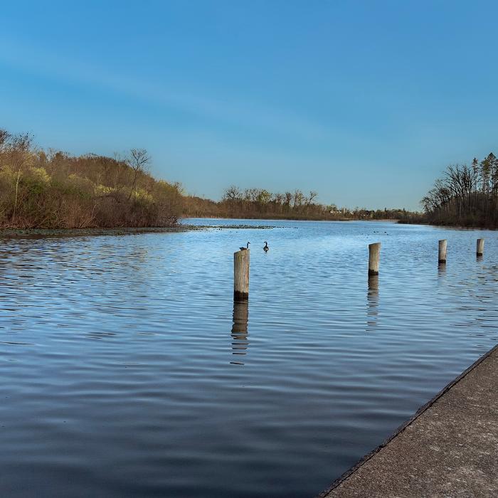 FFotos Photography LLC Logo