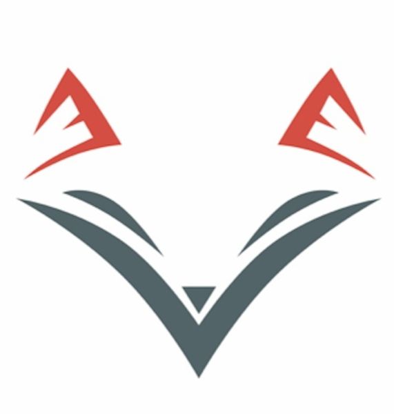 I2P Consulting Expert