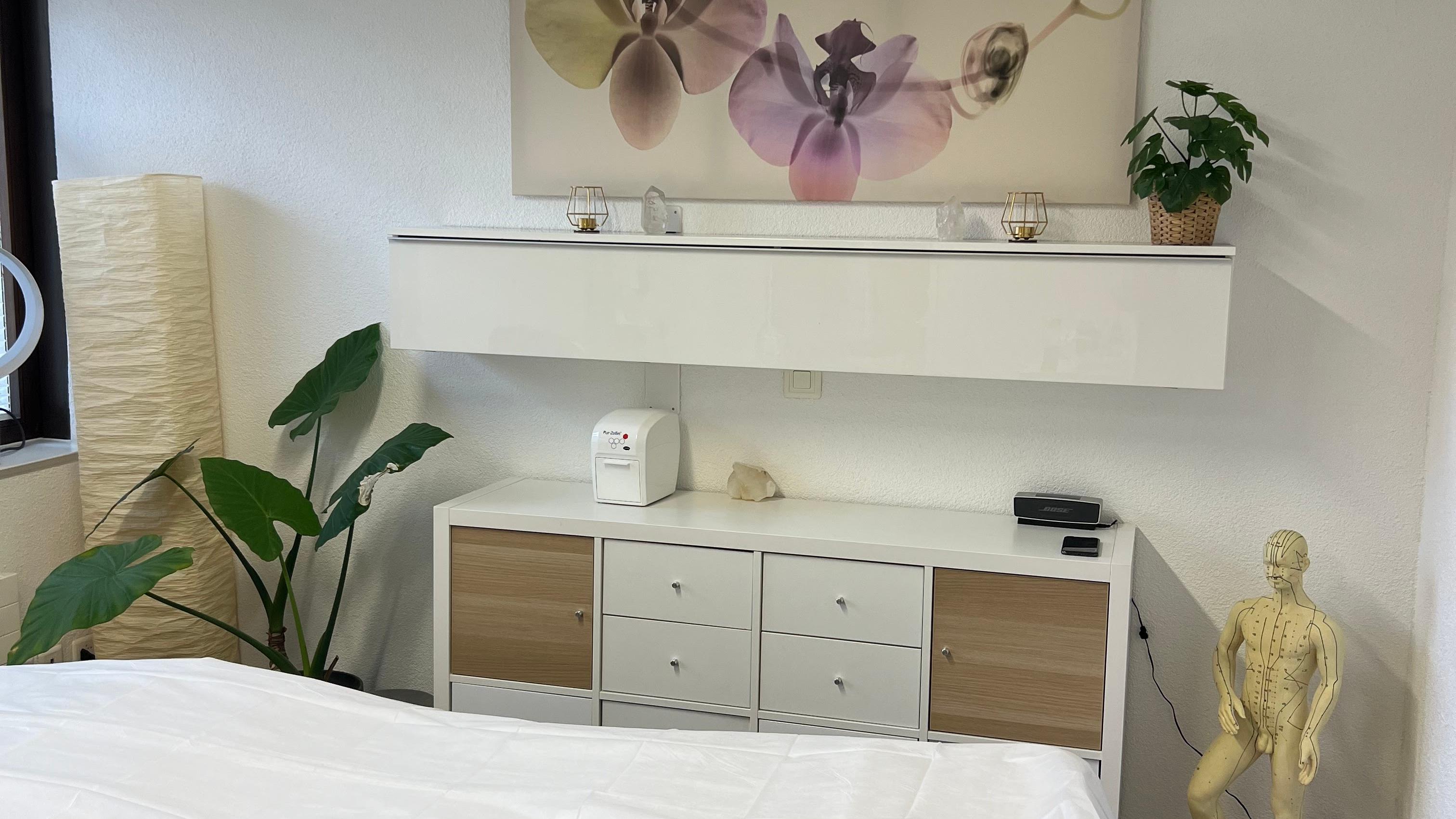 TCM Fabienne Vacheresse / Massage / Akupunktur / Schröpfen / Dry Needling / Faszientherapie, Dünnernstrasse in Oensingen