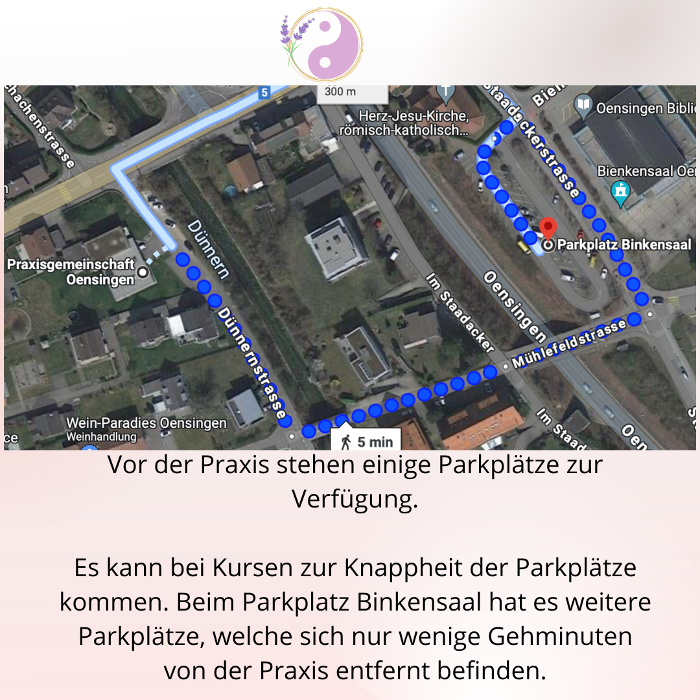 TCM Fabienne Vacheresse / Massage / Akupunktur / Schröpfen / Dry Needling / Faszientherapie, Dünnernstrasse in Oensingen