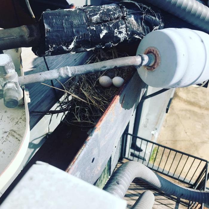 Chisholm Plumbing, Heating & Air Conditioning - Greer, SC