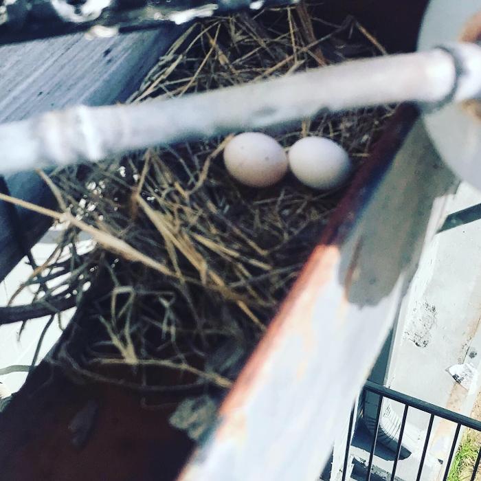 Chisholm Plumbing, Heating & Air Conditioning - Greer, SC