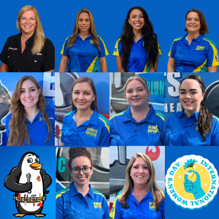 Climate Experts Air Plumbing & Electric - Palm Bay, FL