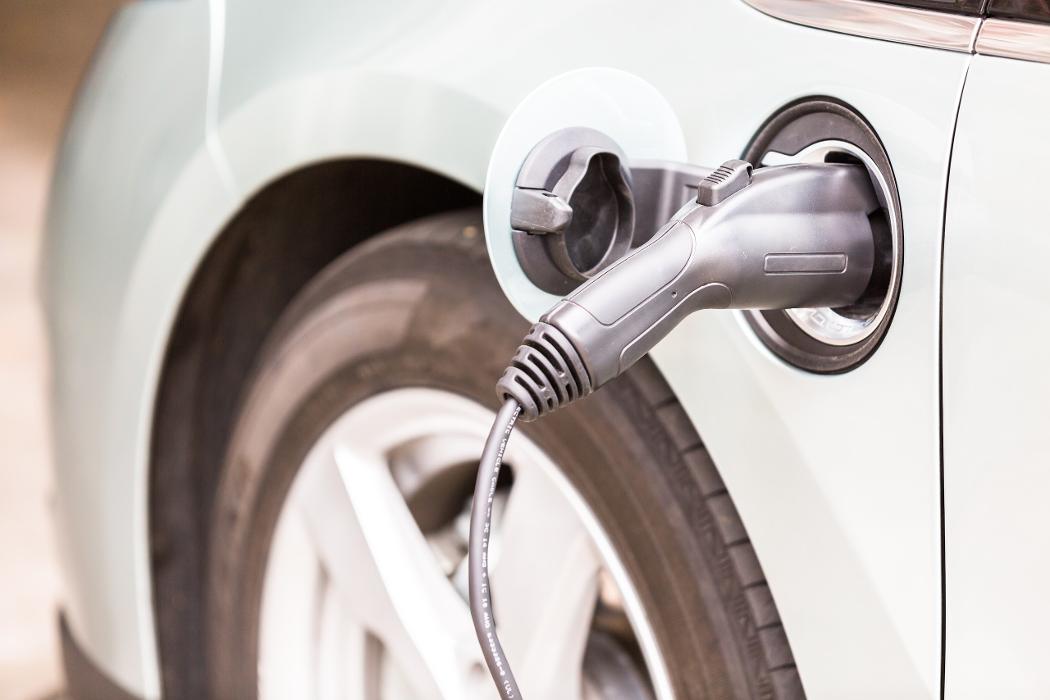 Watt's Right Electric Image