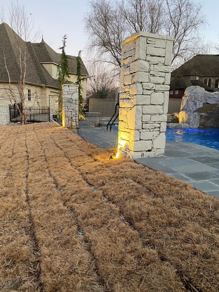 Watt's Right Electric Image