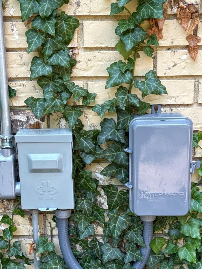 Watt's Right Electric Image