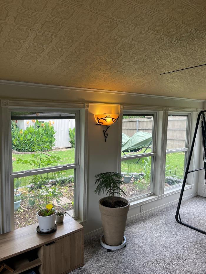 Watt's Right Electric Image