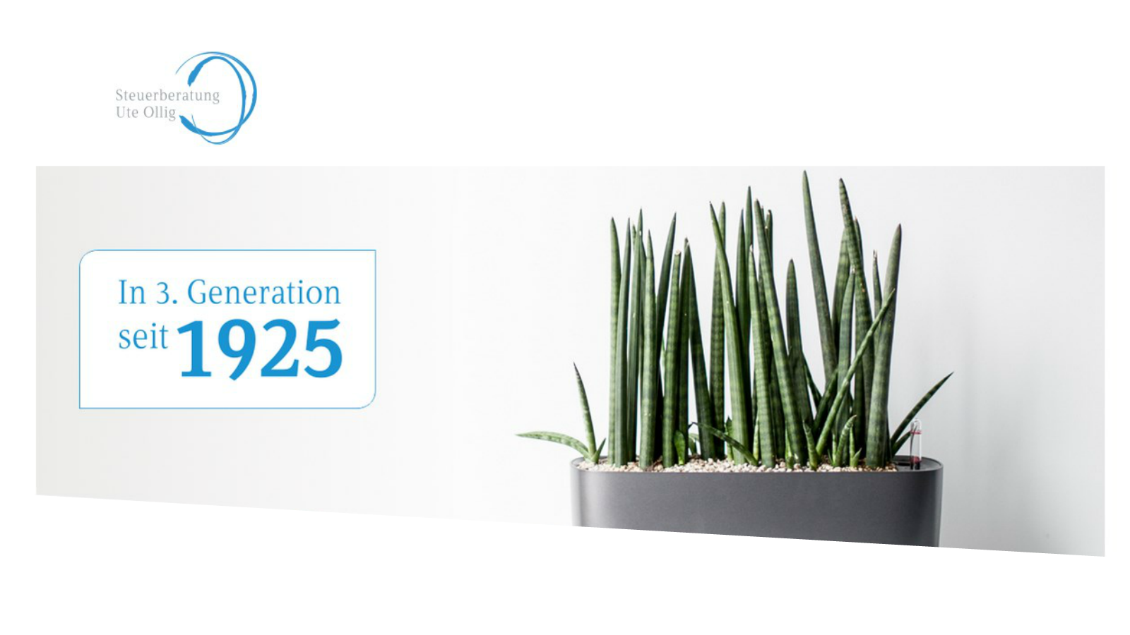 Dipl.-Ing. Ute Ollig Steuerberaterin, Aachener Straße in Köln