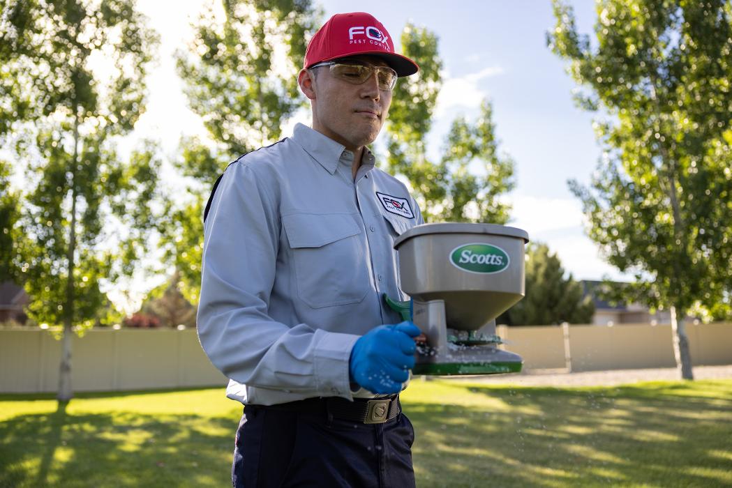 Fox Pest Control Worcester Image