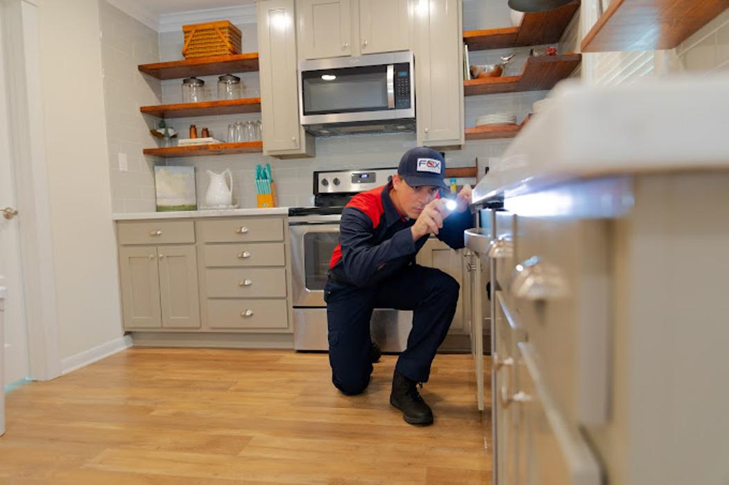 Fox Pest Control Worcester Image