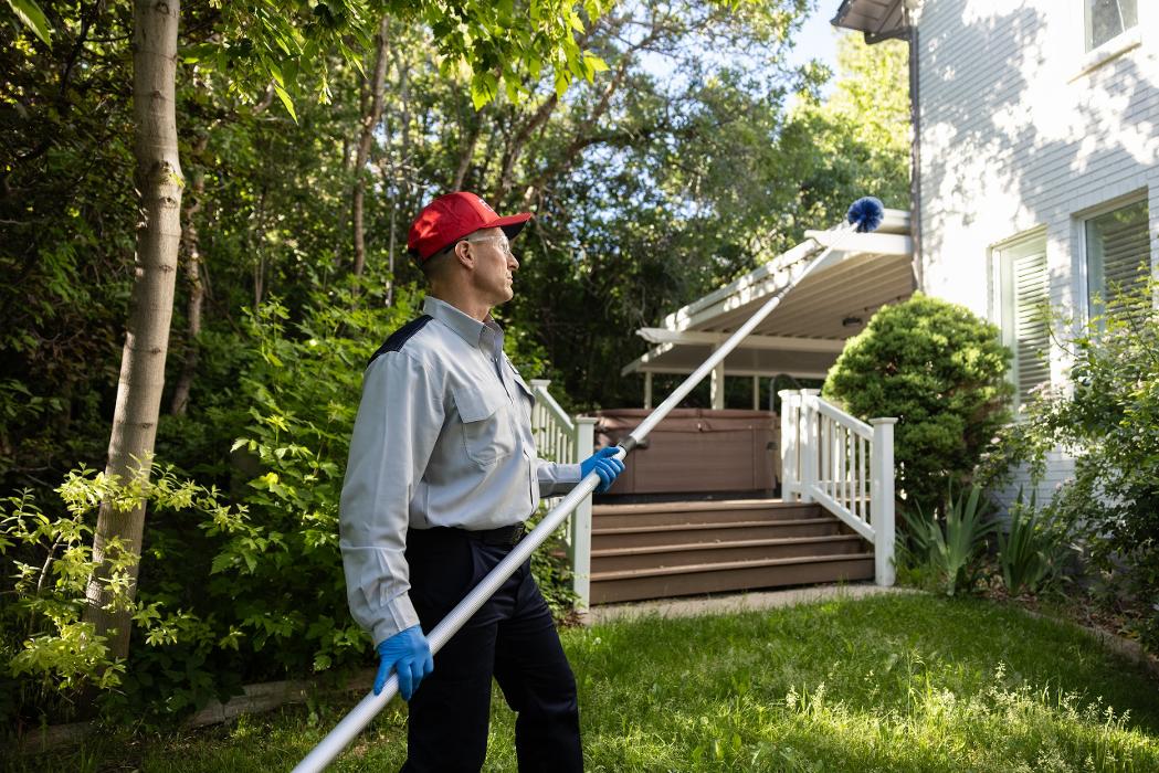 Fox Pest Control Worcester Image