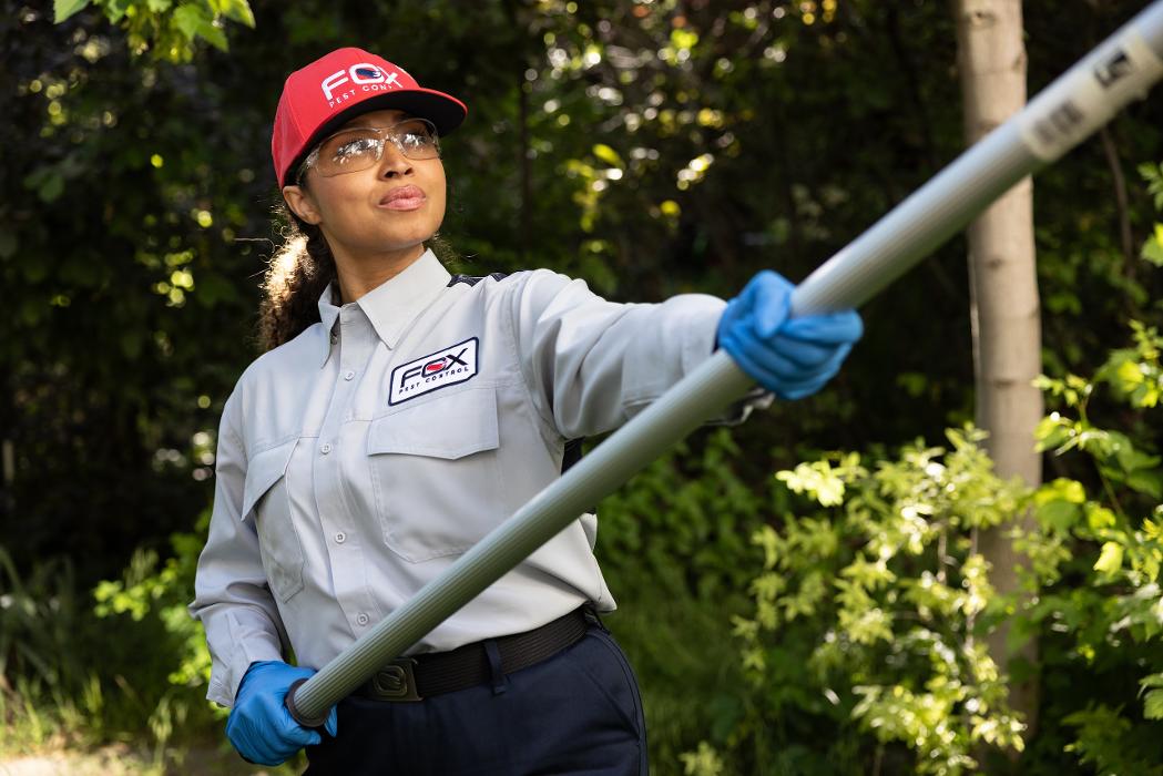 Fox Pest Control Worcester Image