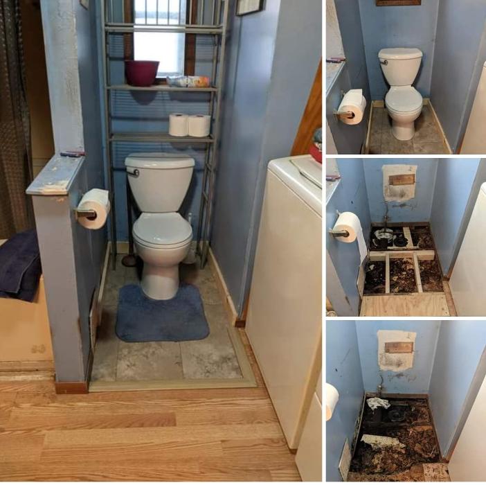 Ace Of All Trades Image