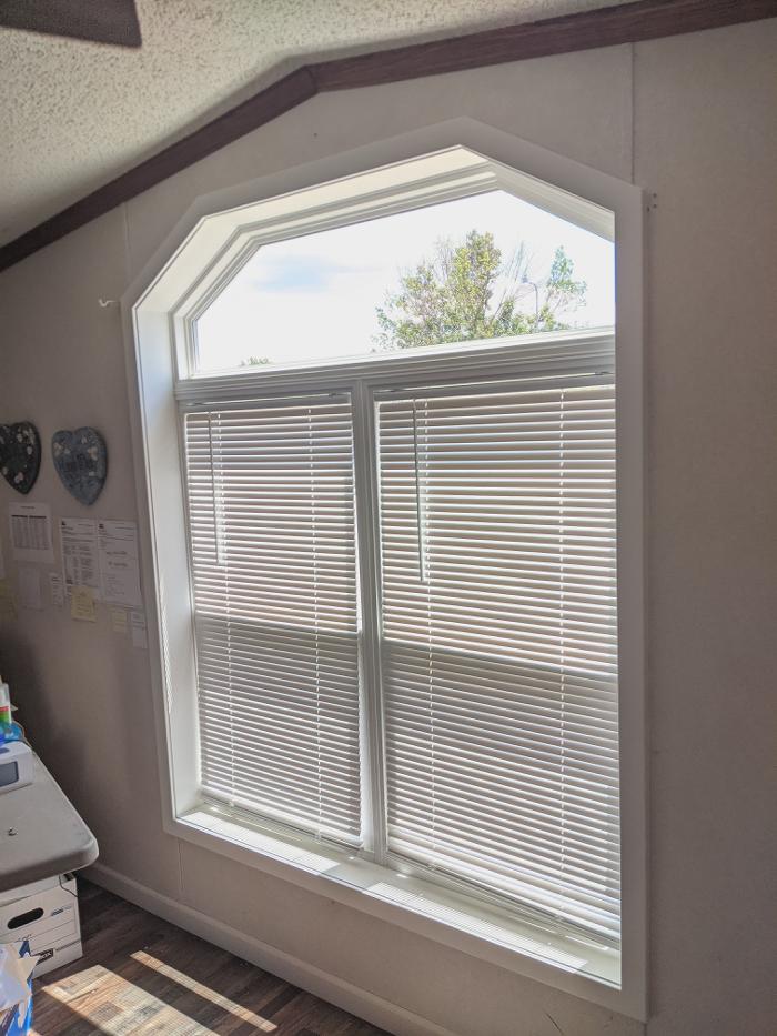 Ace Of All Trades Image