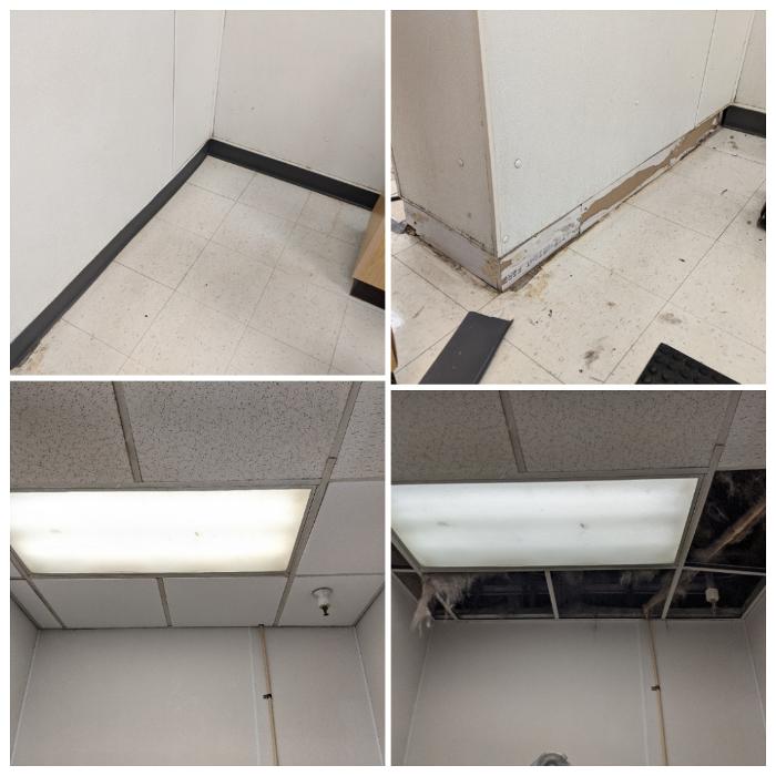 Ace Of All Trades Image