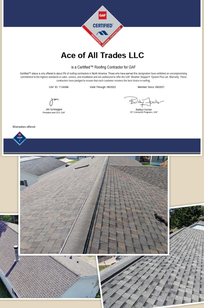 Ace Of All Trades Image