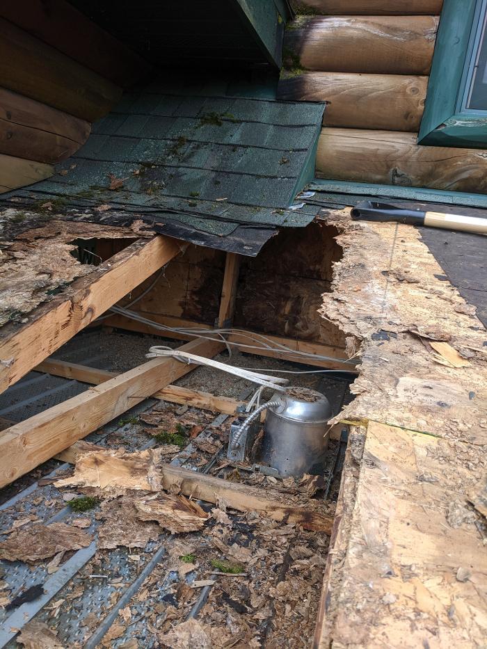 Ace Of All Trades Image