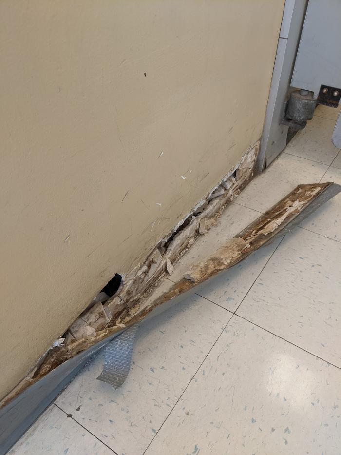 Ace Of All Trades Image