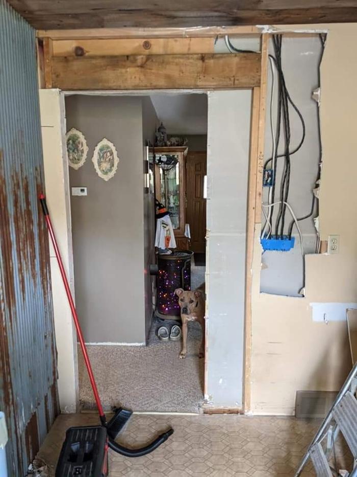 Ace Of All Trades Image