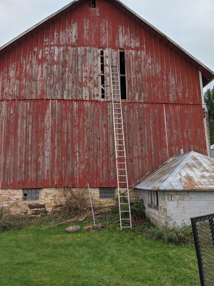 Ace Of All Trades Image