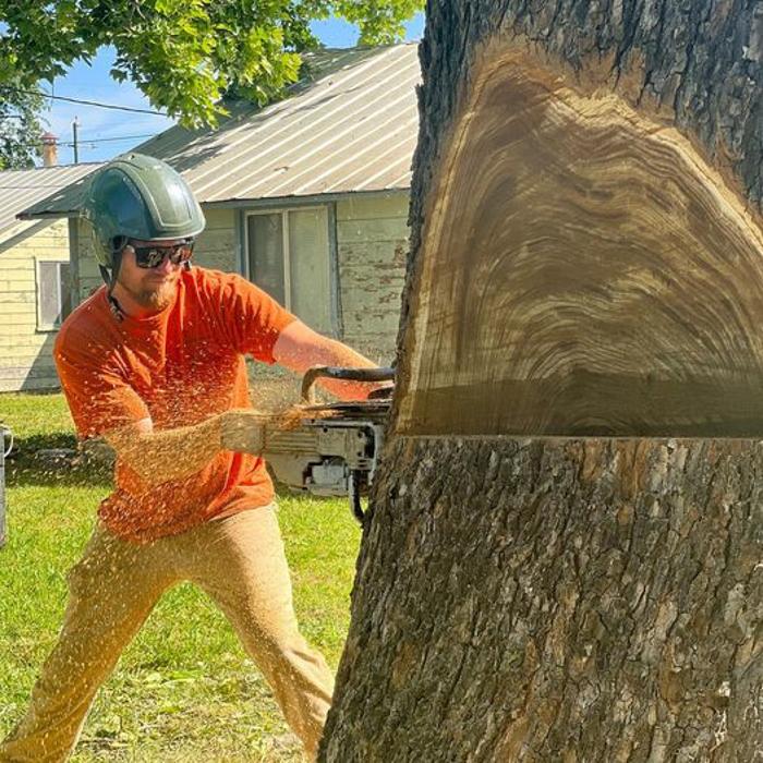 All Green Tree Service Image