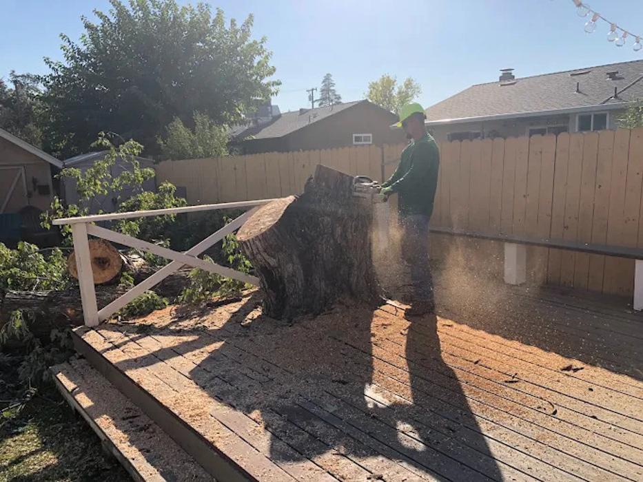 All Green Tree Service Image