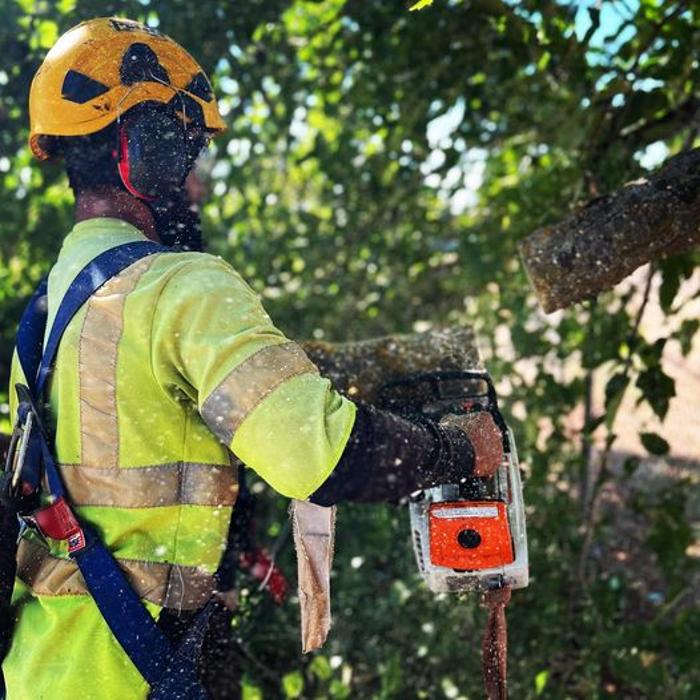 All Green Tree Service Image