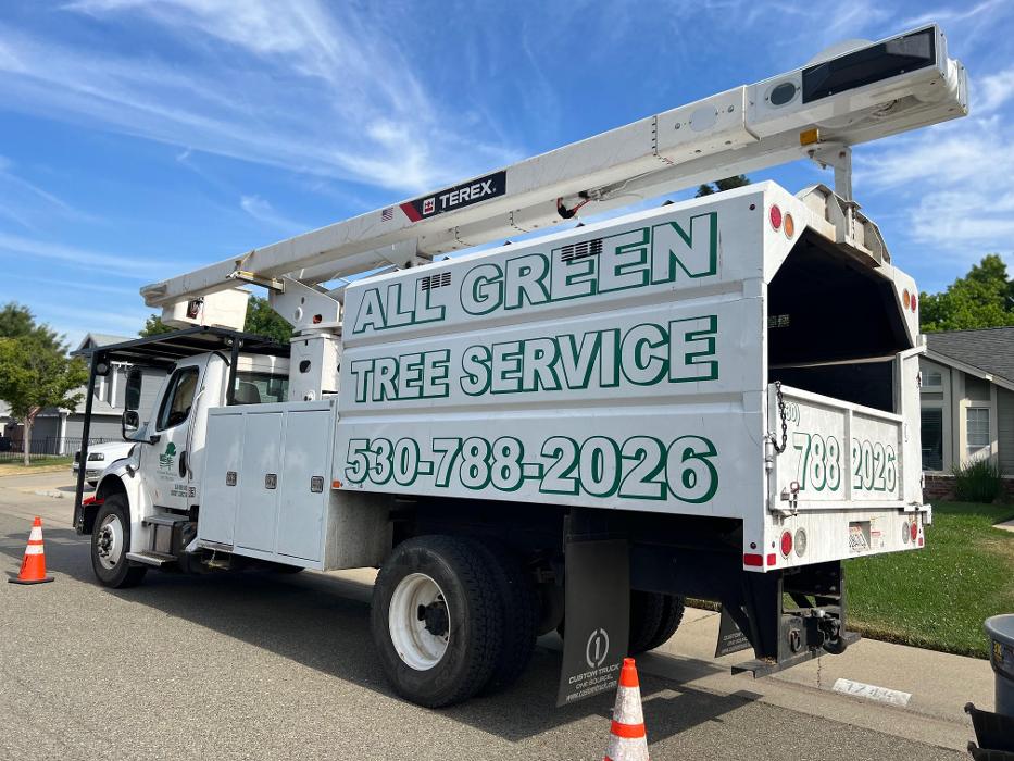 All Green Tree Service Image