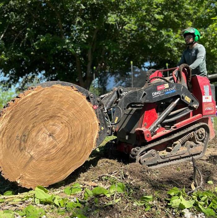 All Green Tree Service Image